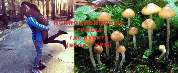 герыч Майский